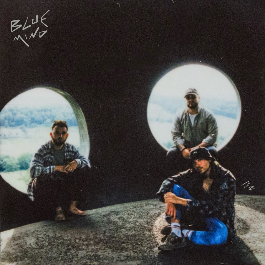 Blue Mind, TEZ